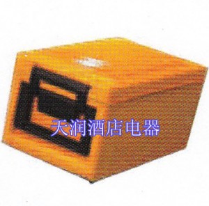 德國Rieber 100K保溫箱 移動保溫箱 送餐保溫箱（1210）