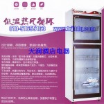 億高YTD430-2F消毒柜 玉珍珠消毒柜 中溫消毒柜 多功能消毒柜 【億高消毒柜批發】 商用消毒柜