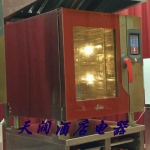 意大利原裝進口VENEXIA蒸烤箱SM07TC 威尼斯7格蒸烤箱 圣馬可系列
