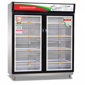 鼎美二門變頻系列餐具消毒柜BP-2 雙門中溫消毒柜 五星變頻消毒柜 臭氧紫外線消毒柜 中溫熱風烘干餐具保潔柜