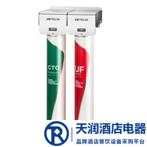 沁園凈水機QS-U2-BK300-20 雙頭凈水器 商用凈水機